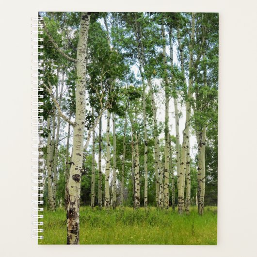 LG Planner Quaking Aspens @ Yellowstone (Voorkant)