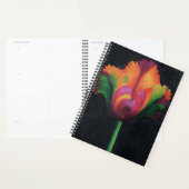 LG Planner Regenboogpapegaai Tulp (Display)