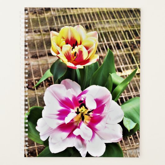 LG Planner Roze/Gele Tulpen (Voorkant)