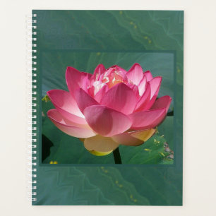 LG Planner Roze Lotus