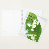 Lg Planner Tiny Monarch Caterpilars (Display)