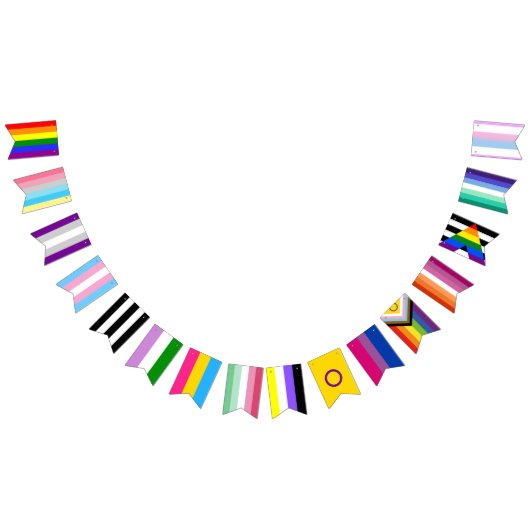 LGBT Alle Flag Pride Lid Bunting Banner Party (Alle)