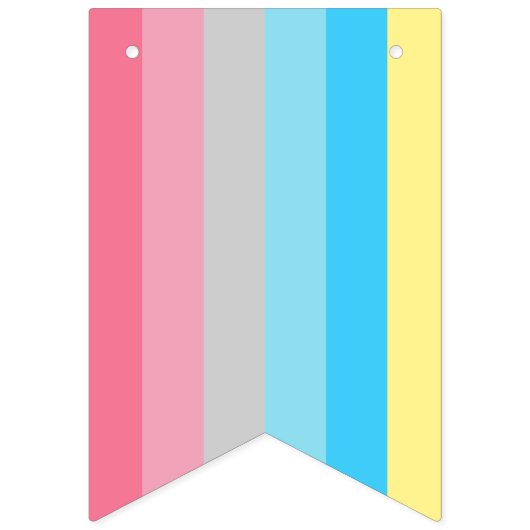 LGBT Alle Flag Pride Lid Bunting Banner Party (Tweede vlag)