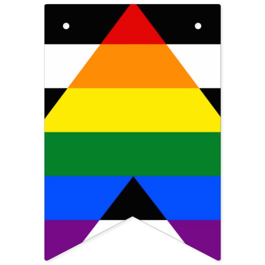LGBT direct vlaggenbanner Vlaggetjes (Tweede vlag)