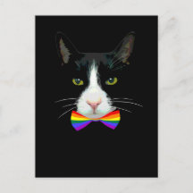 LGBT Gay Cat met Stropdas voor regenboogbogen