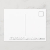 LGBT Gay Pride Rainbow Flag Colors gleaming Silver Briefkaart (Achterkant)