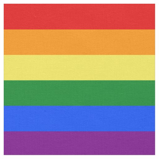 what is the gay flag color