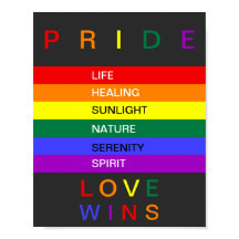 LGBT Gay Pride Rainbow Love Wins Custom