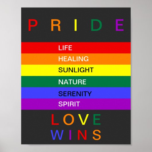 LGBT Gay Pride Rainbow Love Wins Custom Poster (Voorkant)