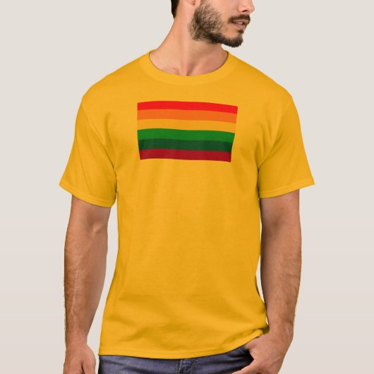 LGBT Pride Flag/Regenboogvlag T-shirt (Voorkant)