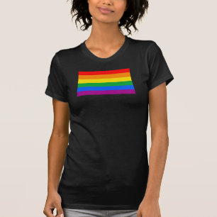 LGBT Pride Flag/Regenboogvlag T-shirt