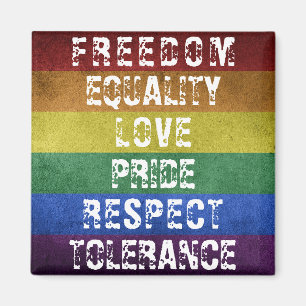 LGBT Pride Moderne Regenboog Strepen Vlag Magneet