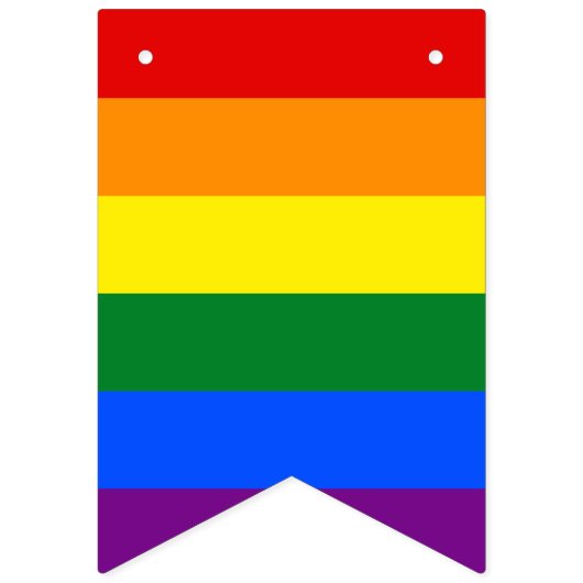 LGBT Pride Rainbow Vlaggetjes (Eerste vlag)