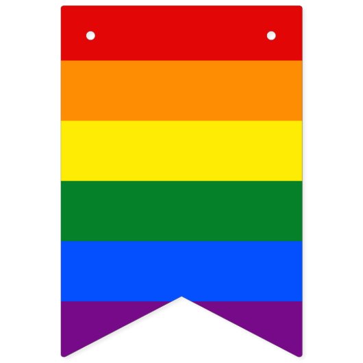 LGBT pride vlag banner (Derde vlag)