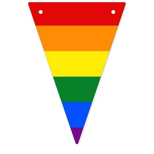 LGBT pride vlag banner Bunting Flags (Eerste vlag)