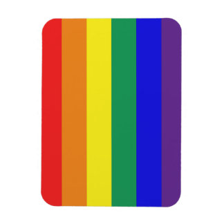 LGBT Rainbow Flag Magnet Magneet