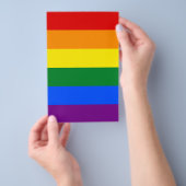 LGBT Rainbow Gay Pride Flag Flyer (Hand)