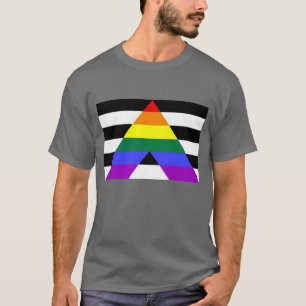 LGBTQ+ Ally Flag T-shirt