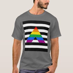 LGBTQ+ Ally Flag T-shirt