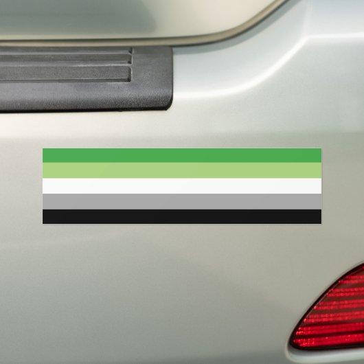 LGBTQ Aromantische Pride Vlag Bumpersticker (Op auto)