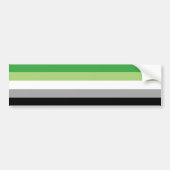 LGBTQ Aromantische Pride Vlag Bumpersticker (Voorkant)