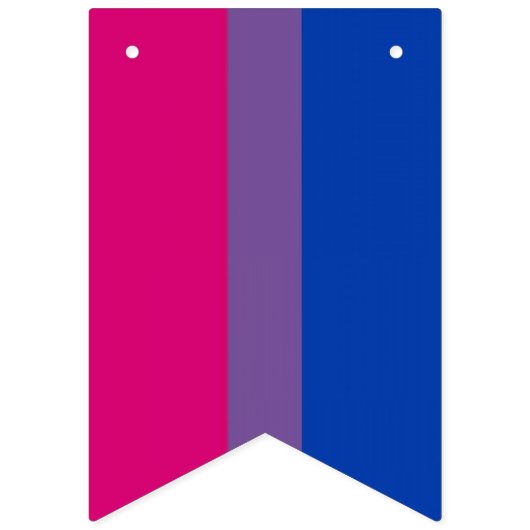 LGBTQ+ Bunting Vlaggetjes (Tweede vlag)