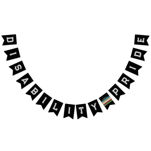 LGBTQ Disability Pride Rainbow Vlaggetjes (Alle)