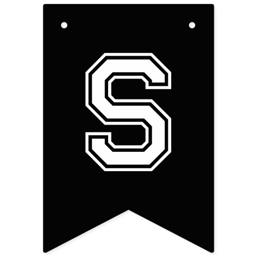 LGBTQ Disability Pride Rainbow Vlaggetjes (Derde vlag)