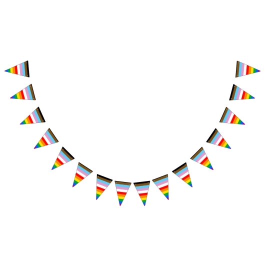 LGBTQ+ INCLUSIEVE PRIDE-VLAG VLAGGETJES (Alle)