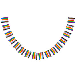 LGBTQ+ INCLUSIEVE PRIDE-VLAG VLAGGETJES