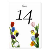 LGBTQ plus Tulpen Bloemen Kaart (Voorkant)