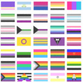 LGBTQ+ Pride Flags Sticker (Voorkant)
