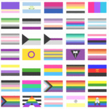 LGBTQ+ Pride Flags