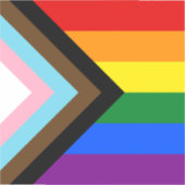 LGBTQ & Pride - Regenboog Progressie Vlag / Vinyl Sticker (Voorkant)