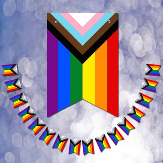 LGBTQ & Pride - Regenboogvoortgang Bunting Flags Vlaggetjes