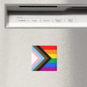 LGBTQ+ Progress Pride Magneet (Insitu (Vaatwasser))