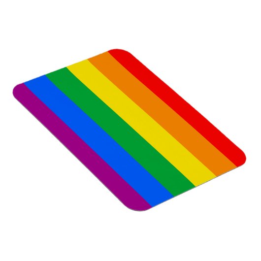 LGBTQ+ Regenboog Pride Vlag Magneet (Rechterzijde)