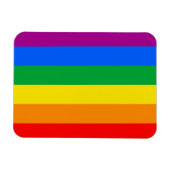 LGBTQ+ Regenboog Pride Vlag Magneet (Horizontaal)