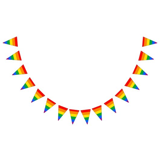 LGBTQ+ Regenboog Pride Vlag Vlaggetjes (Alle)