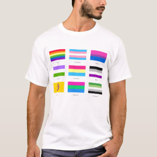 LGBTQIA Pride 9 x FLAGS Rainbow Awareness Chic and T-shirt