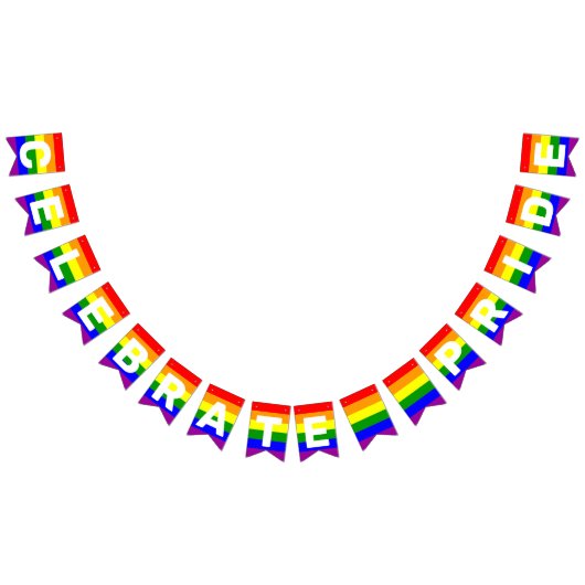 LGBTQIA Pride Rainbow Horizontal Bunting Flags Vlaggetjes (Alle)