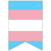 LGBTQIA Transgender Pride Caterpaal naar vlinder Vlaggetjes (Derde vlag)