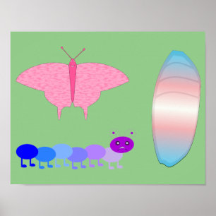 LGBTQIA Transgender Pride Rups naar Vlinder Poster
