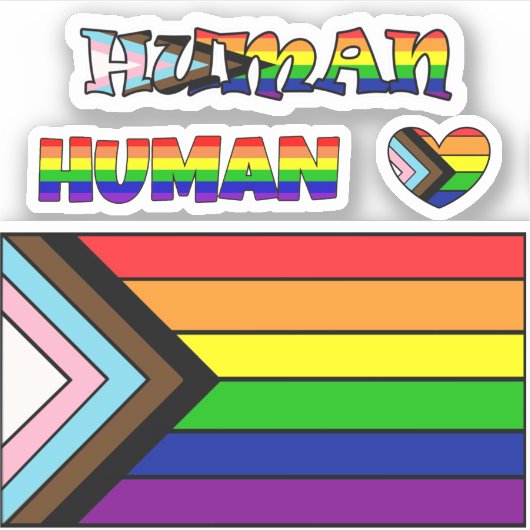 LGBTQIA+ Vlag Pride en steun Sticker (Voorkant)