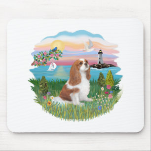 Lghthouse - Cavalier (BL-F) Muismat