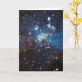 LH95 Stellaire kwekerij Kaart (Gele Bloem)