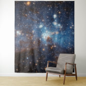 LH 95 Star vormend gebied NASA Wandkleed (In situ)