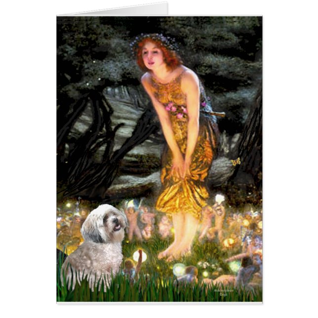 Lhasa Apso 10 - Middernacht (Voorkant)