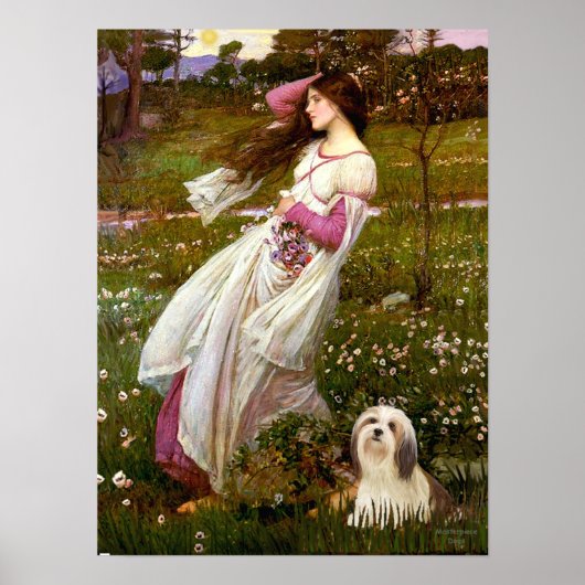 Lhasa Apso 4 - Windflowers Poster (Voorkant)