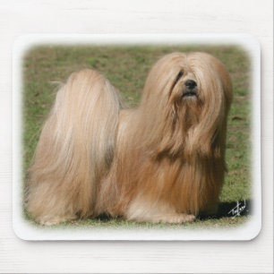 Lhasa Apso 9Y394D-079 Muismat